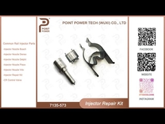 7135-573 Delphi Common Rail Injector Kits for common rail injectors 28229873, 33800-4A710