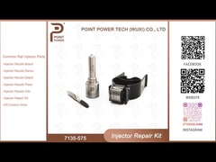 7135-575 Delphi Injector Repair Kit For 28231462 VW 1.2L Nozzle L363PRD Nozzle-Valve Kit