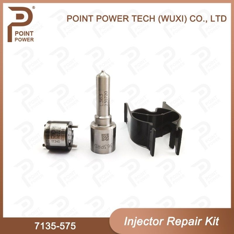 7135-575 Delphi Injector Repair Kit For 28231462 VW 1.2L Nozzle L363PRD Nozzle-Valve Kit