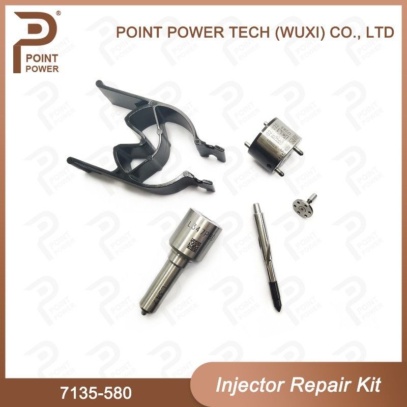 7135-580 Delphi Injector Repair Kit For Injectors 28342997/R00001D/28307309 Nozzle-Valve Kit