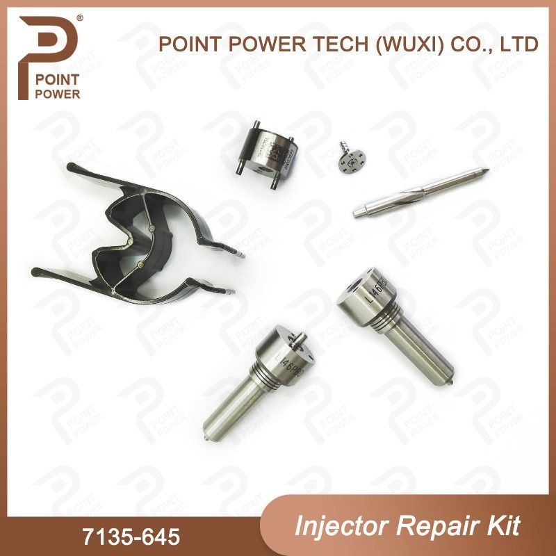 7135-645 Delphi Injector Repair Kit For Injectors R05201D Nozzle-CVA Kit WIth Common Rail Nozzle