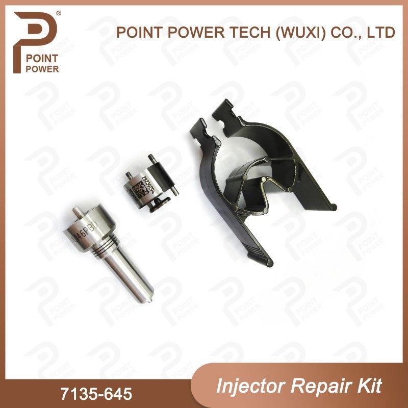 7135-645 Delphi Injector Repair Kit For Injectors R05201D Nozzle-CVA Kit WIth Common Rail Nozzle