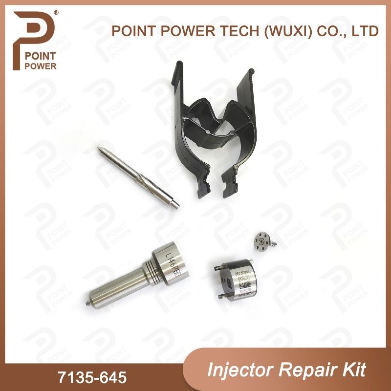 7135-645 Delphi Injector Repair Kit For Injectors R05201D Nozzle-CVA Kit WIth Common Rail Nozzle