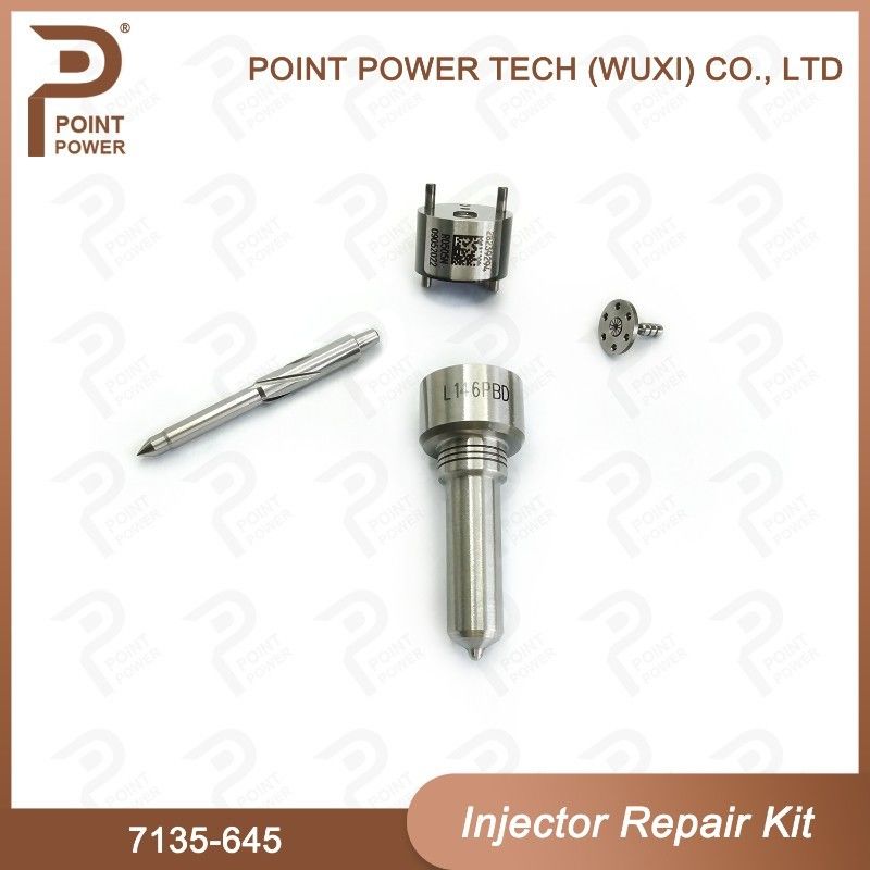 7135-645 Delphi Injector Repair Kit For Injectors R05201D Nozzle-CVA Kit WIth Common Rail Nozzle