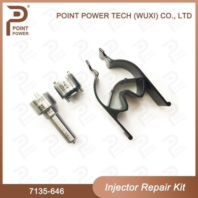 7135-646 Delphi Injector Repair Kit For Injector 28232251/ R03101D/R05102D Nozzle-Valve Kit
