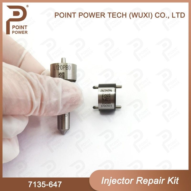 7135-647 Delphi Injector Repair Kit For Injector 28232248 Nozzle-Valve Kit With L120PBD Nozzle