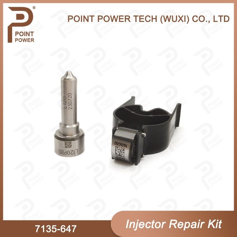 7135-647 Delphi Injector Repair Kit For Injector 28232248 Nozzle-Valve Kit With L120PBD Nozzle