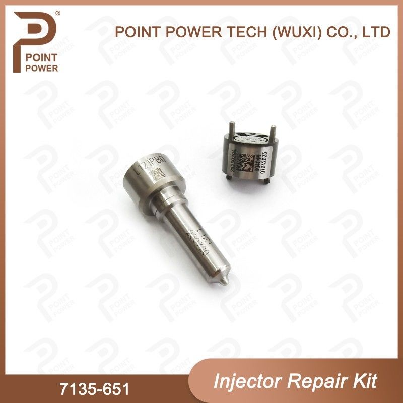 7135-651 Delphi Injector Repair Kit For Injector R02201Z Nozzle-CVA Kit With Nozzle L121PBD