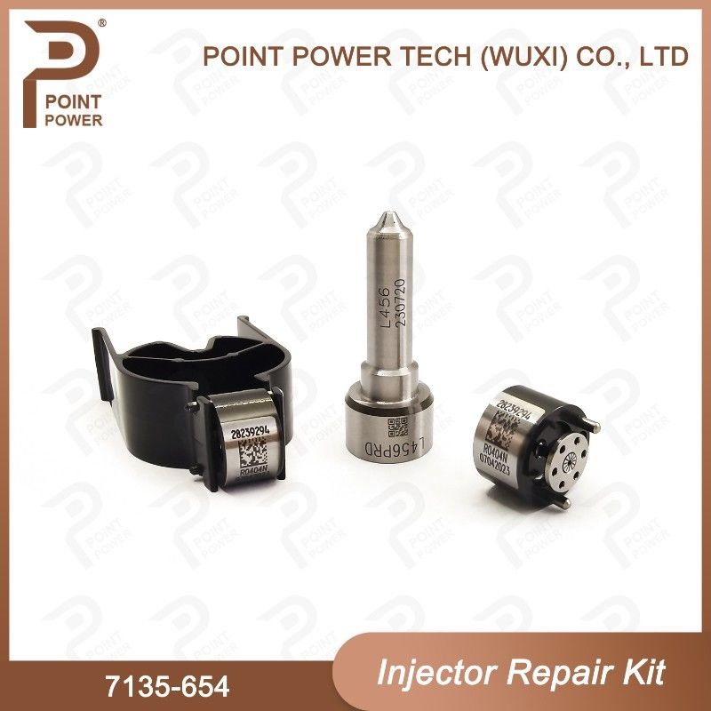 7135-654 Injector Repair Kit For Injector R00501Z Nozzle-CVA Kit With Nozzle L456PRD