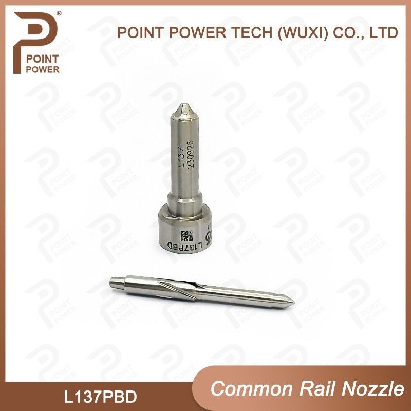 L137PBD  Delphi Common Rail Nozzle For Injectors EJBR02401Z/02901D diesel fuel nozzle