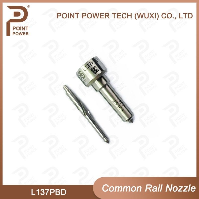 L137PBD  Delphi Common Rail Nozzle For Injectors EJBR02401Z/02901D diesel fuel nozzle