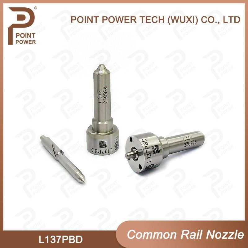 L137PBD  Delphi Common Rail Nozzle For Injectors EJBR02401Z/02901D diesel fuel nozzle