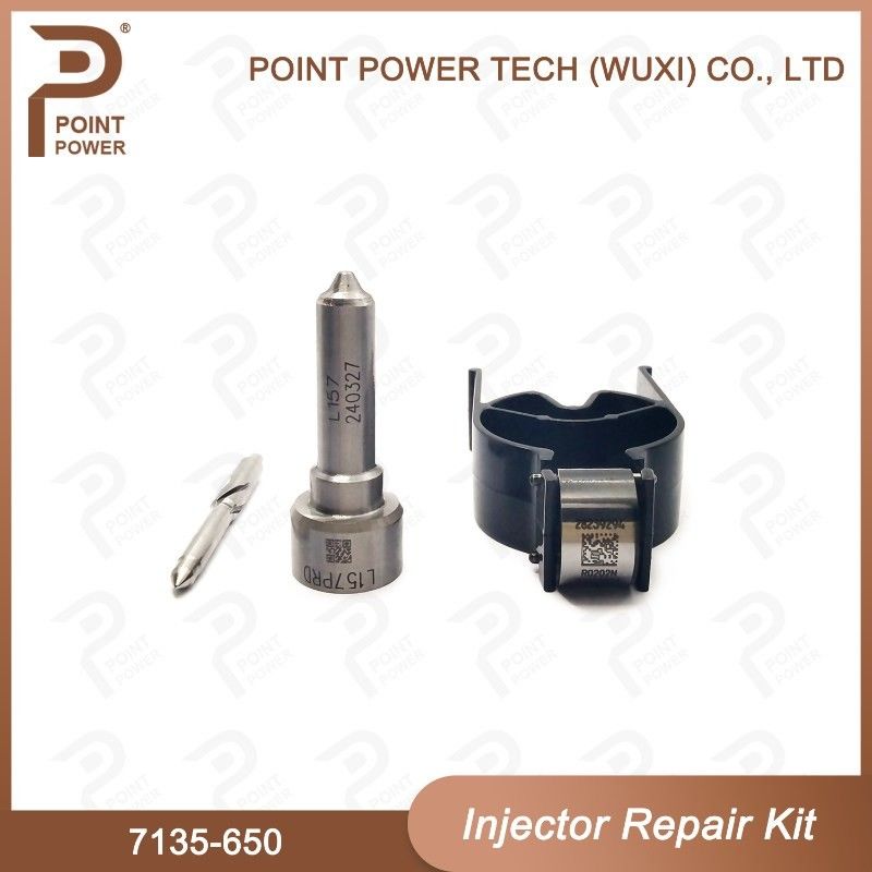 7135 - 650 Delphi Injector Repair Kit For Injector R04701D Nozzle-Valve Kit