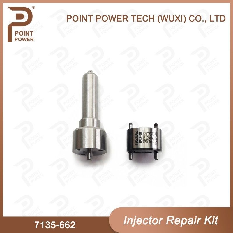 7135-662 Delphi Injector Repair Kit common rail diesel injector parts Nozzle-Valve Kit For Injector R05001D