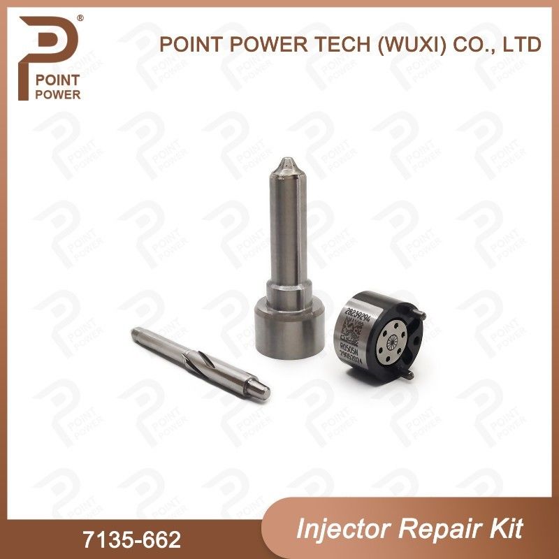 7135-662 Delphi Injector Repair Kit common rail diesel injector parts Nozzle-Valve Kit For Injector R05001D