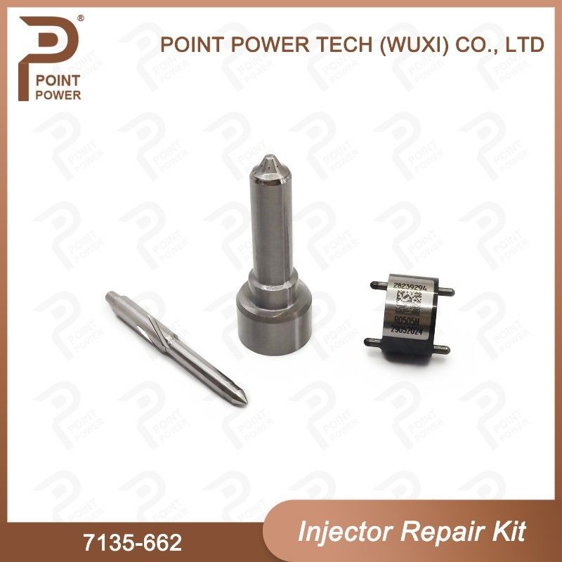 7135-662 Delphi Injector Repair Kit common rail diesel injector parts Nozzle-Valve Kit For Injector R05001D