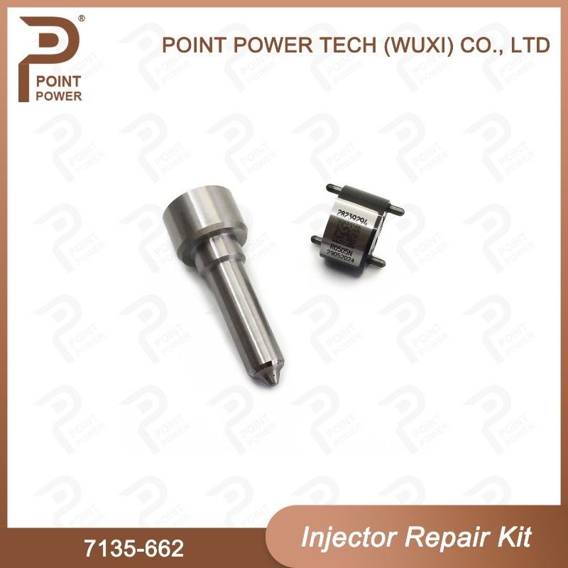 7135-662 Delphi Injector Repair Kit common rail diesel injector parts Nozzle-Valve Kit For Injector R05001D