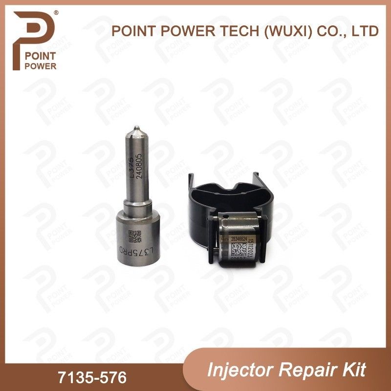 7135-576 Delphi Injector Repair Kit For Injector 28236381 Nozzle Valve Kit