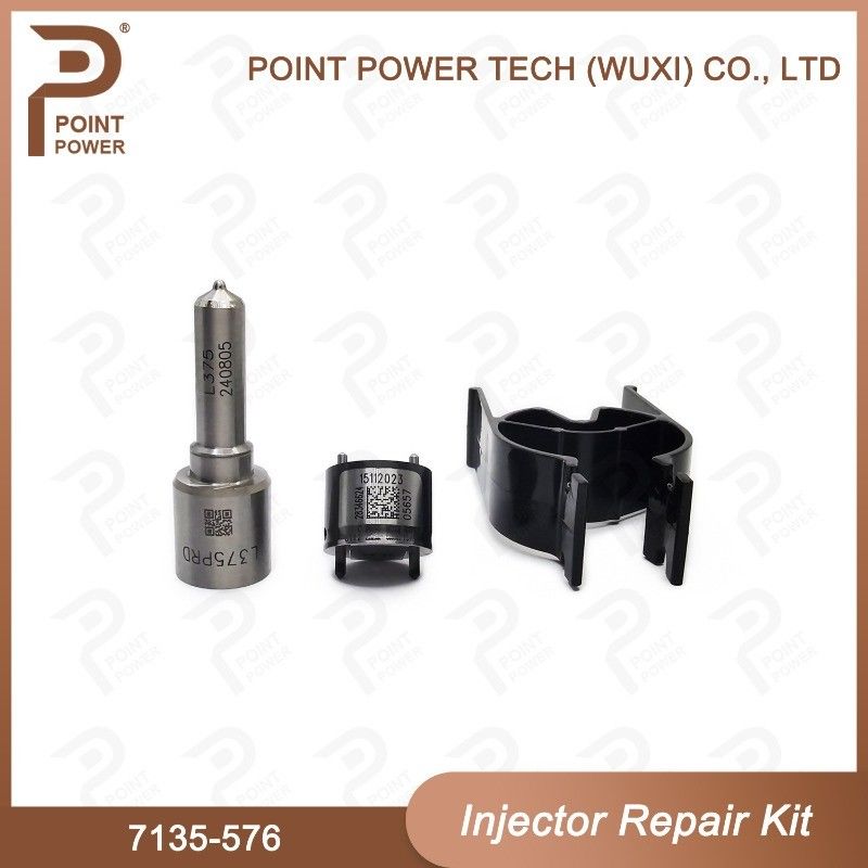 7135-576 Delphi Injector Repair Kit For Injector 28236381 Nozzle Valve Kit
