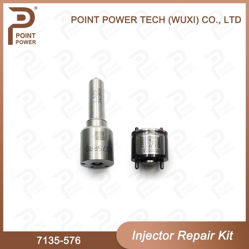 7135-576 Delphi Injector Repair Kit For Injector 28236381 Nozzle Valve Kit