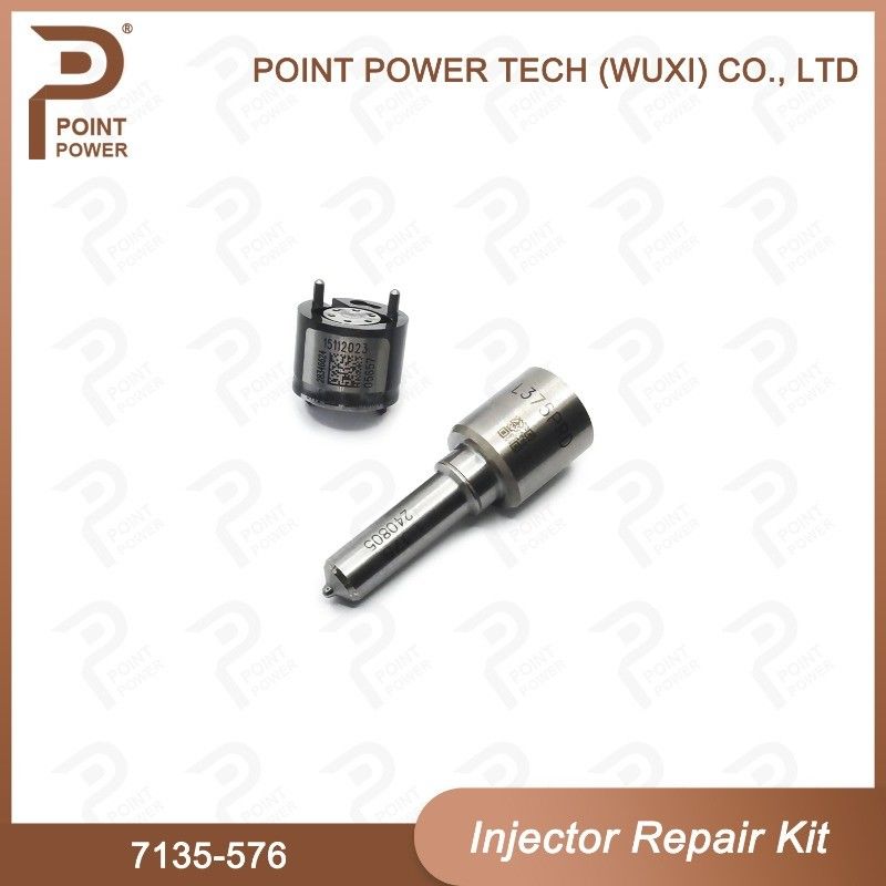 7135-576 Delphi Injector Repair Kit For Injector 28236381 Nozzle Valve Kit