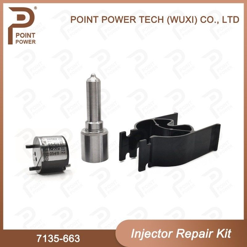 7135-663 Delphi Injector Repair Kit Common Rail Diesel Injector Parts Nozzle-Valve Kit