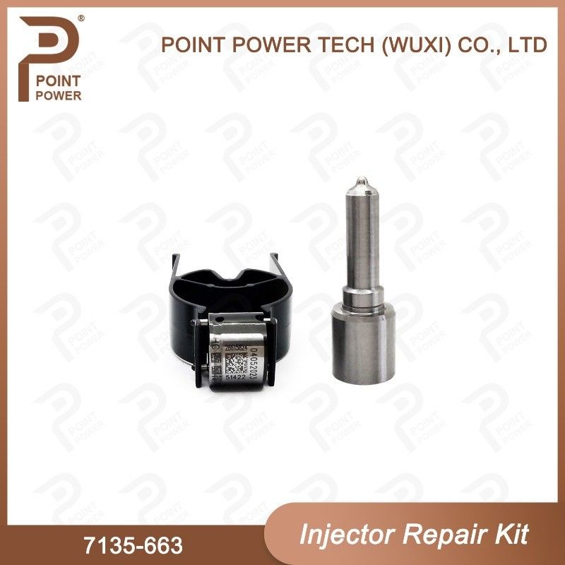7135-663 Delphi Injector Repair Kit Common Rail Diesel Injector Parts Nozzle-Valve Kit