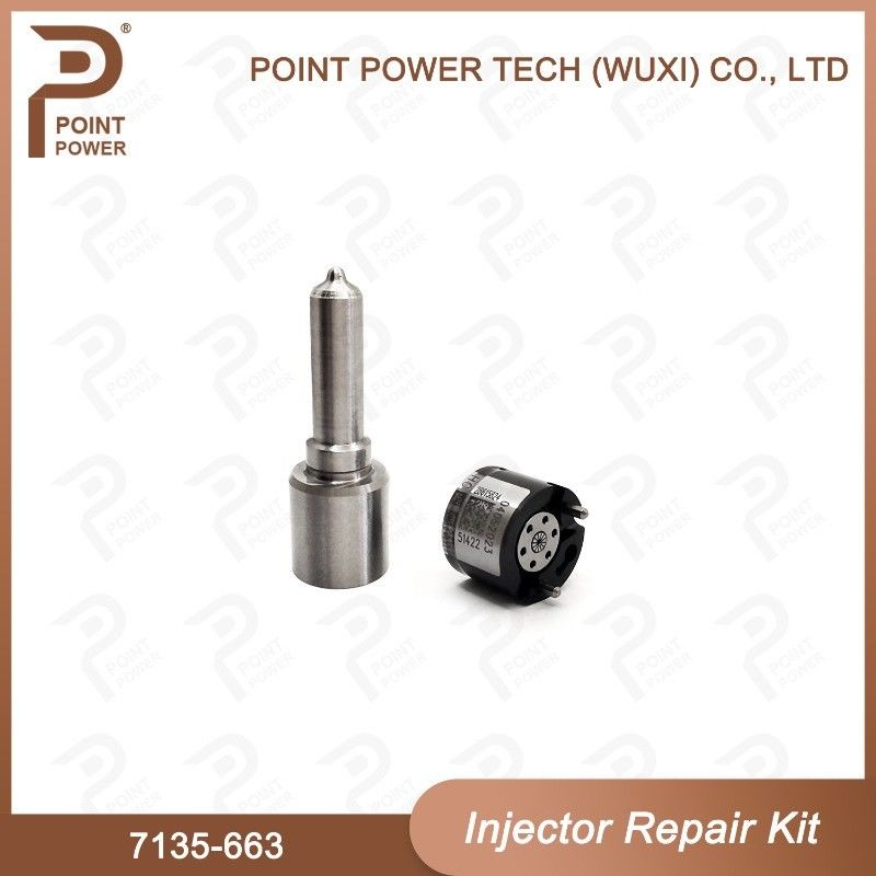 7135-663 Delphi Injector Repair Kit Common Rail Diesel Injector Parts Nozzle-Valve Kit