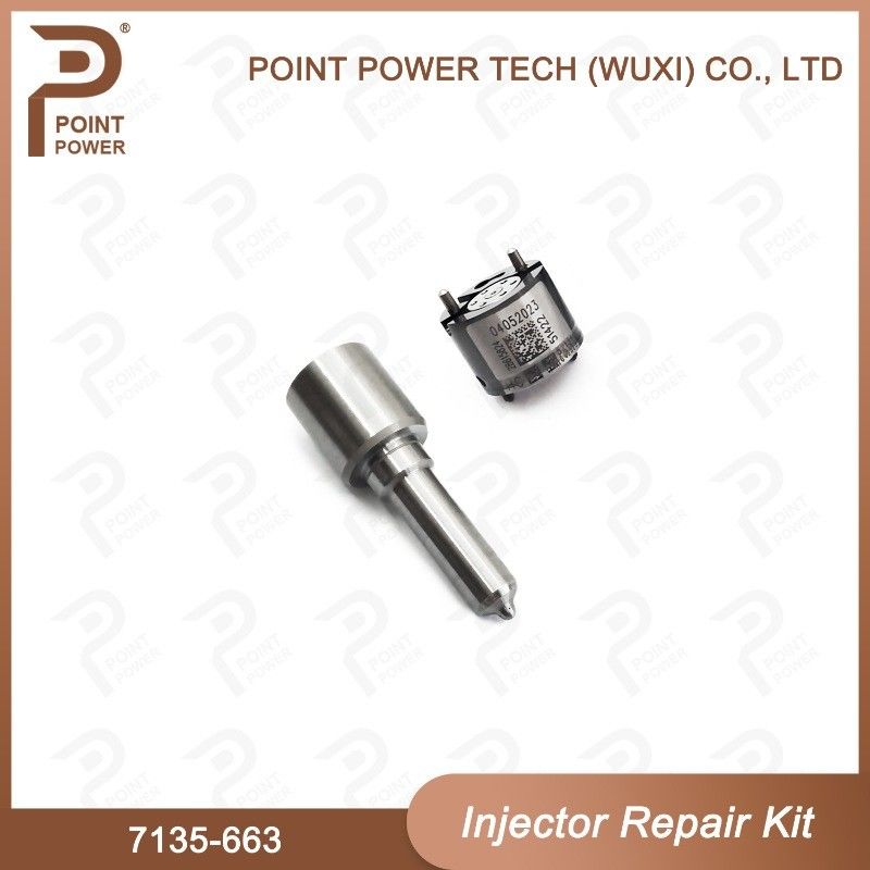 7135-663 Delphi Injector Repair Kit Common Rail Diesel Injector Parts Nozzle-Valve Kit