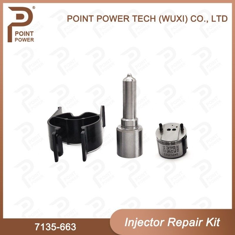 7135-663 Delphi Injector Repair Kit Common Rail Diesel Injector Parts Nozzle-Valve Kit