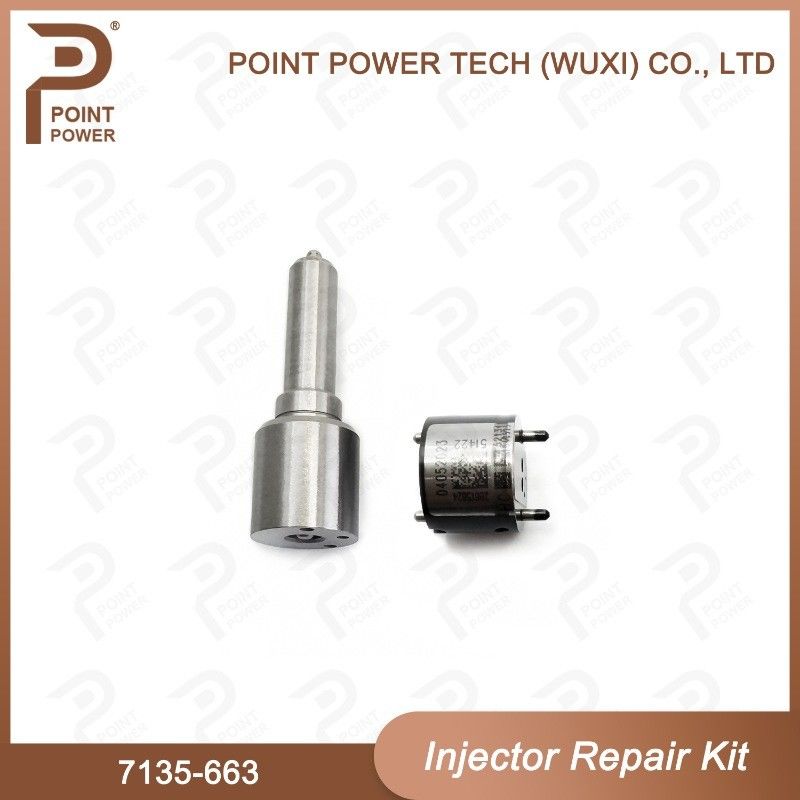 7135-663 Delphi Injector Repair Kit Common Rail Diesel Injector Parts Nozzle-Valve Kit