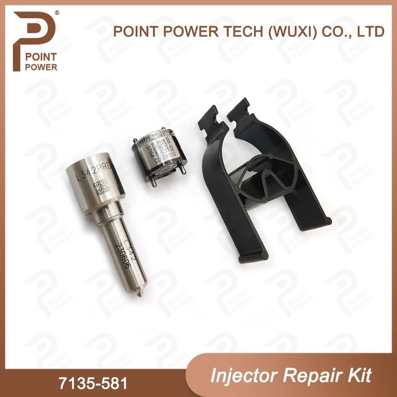 7135-581 Delphi Injector Repair Kit For Injector R00101D Inclueds Nozzle H342 And Valve 9308-625C Applied PSA DW10C