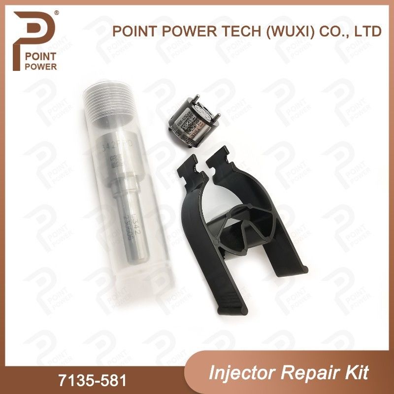 7135-581 Delphi Injector Repair Kit For Injector R00101D Inclueds Nozzle H342 And Valve 9308-625C Applied PSA DW10C