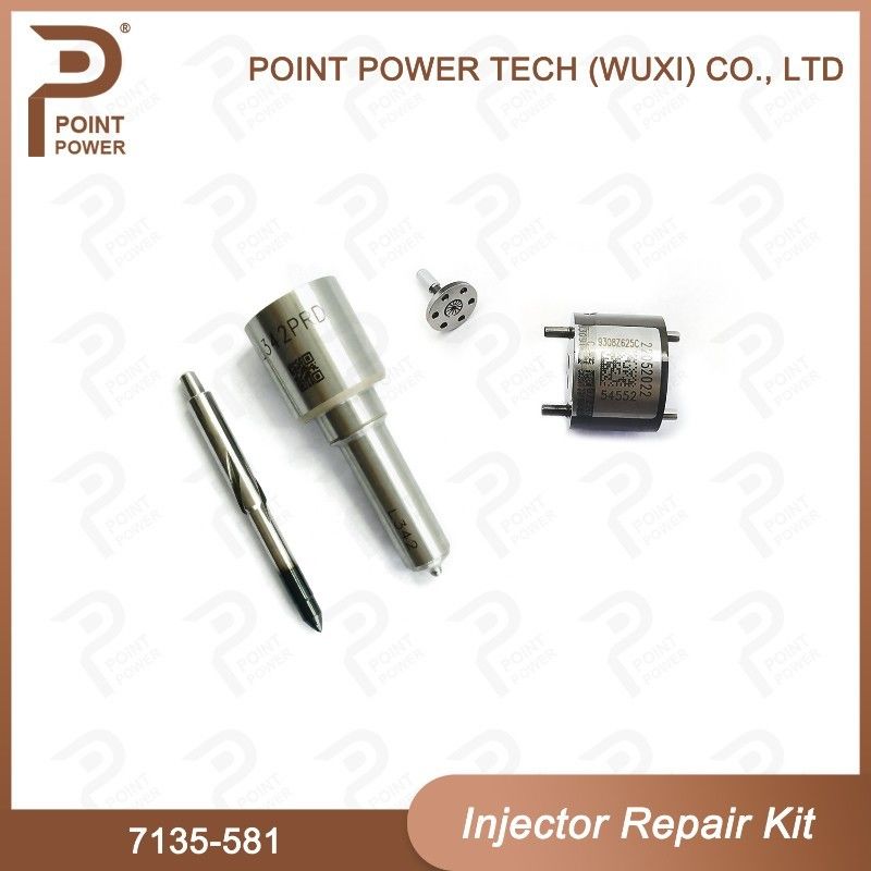 7135-581 Delphi Injector Repair Kit For Injector R00101D Inclueds Nozzle H342 And Valve 9308-625C Applied PSA DW10C