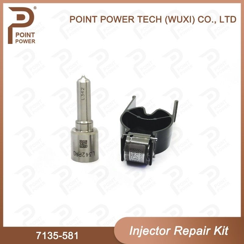 7135-581 Delphi Injector Repair Kit For Injector R00101D Inclueds Nozzle H342 And Valve 9308-625C Applied PSA DW10C