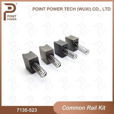 Common Rail Repair kit 7135-523 High Speed Steel 4pcs