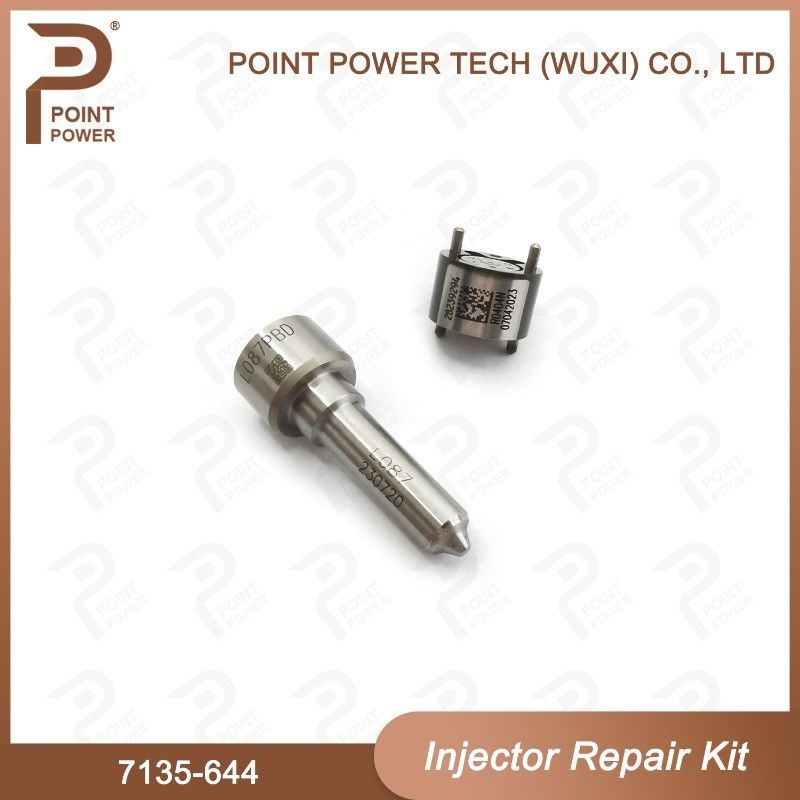 7135-644 Delphi Injector Repair Kit For Injector 28232242 Nozzle-CVA Kit With L087PBD Nozzle - Image 2