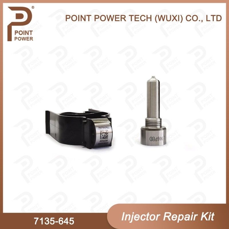 7135-645 Delphi Injector Repair Kit For Injectors R05201D Nozzle-CVA Kit WIth Common Rail Nozzle - Image 5