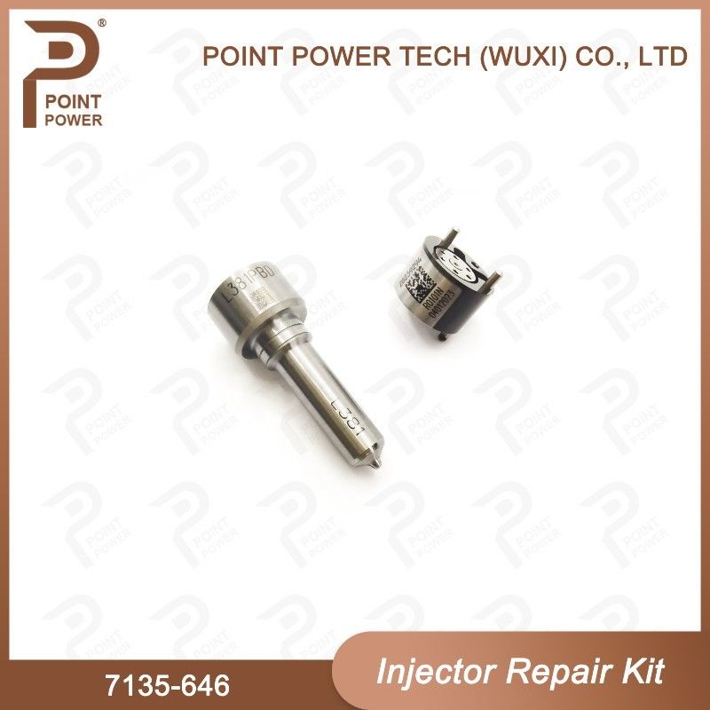 7135-646 Delphi Injector Repair Kit For Injector 28232251/ R03101D/R05102D Nozzle-Valve Kit - Image 2