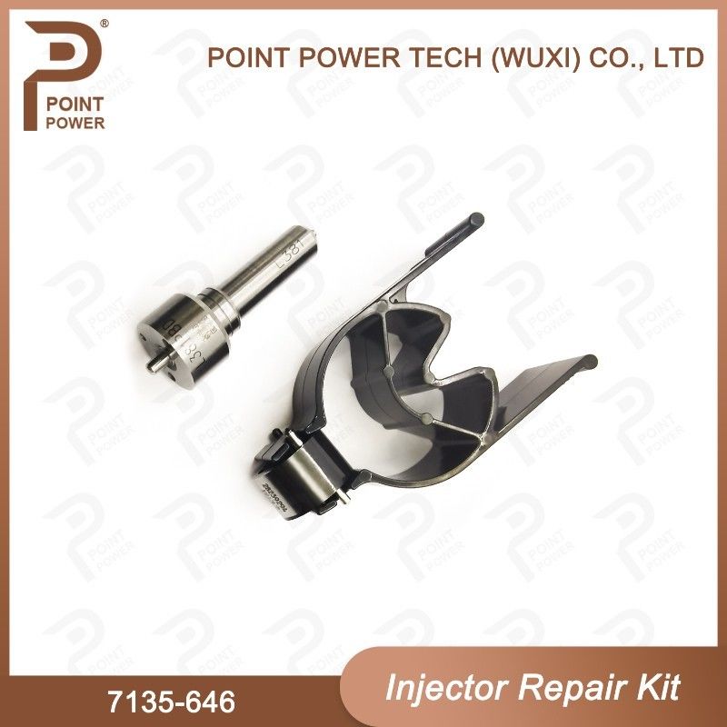 7135-646 Delphi Injector Repair Kit For Injector 28232251/ R03101D/R05102D Nozzle-Valve Kit - Image 6